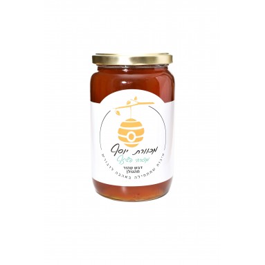 דבש אמיתי 1 קילו שיזף