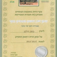 שמן זית ראשון המסיק כסף 2014