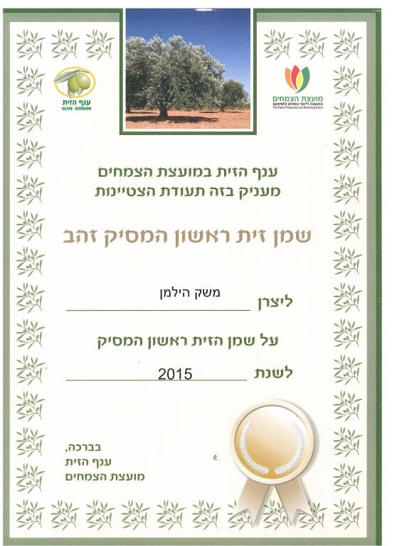 מקום ראשון מסיק זהב 2015